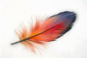 Vibrant Bird Feather A Close-Up Study of Color, Texture, and Form, Showcasing the Exquisite Details of Avian Plumage with Breathtaking Hues photo