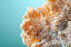 Intricate Coral Structures Unveiling the Beauty of Ocean's Delicate Ecosystem with Stunning Macro Photography, Revealing the Complex Forms and Patterns of Marine Life in Vibrant Hues photo