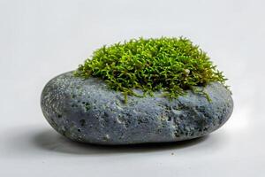Lush Green Moss Thriving on a Gray Stone A Miniature Garden Landscape, Creating a Serene and Tranquil Atmosphere, Perfect for Relaxation and Contemplation. photo
