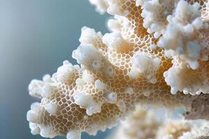 Exploring the Intricate Honeycomb Structure of Coral A Close-Up View of Ocean Biodiversity with Stunning Detail and Breathtaking Textures, Unveiling the Wonders of Marine Life's Architectural Marvels. photo