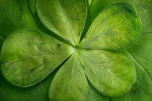 Exploring the Intricate Veining of a Four-Leaf Clover A Close-Up Macro View of Nature's Design, Revealing the Beauty and Complexity of Botanical Structures with Stunning Detail and Vivid Green Hues. photo