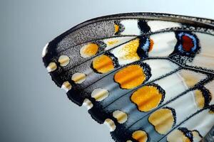 Exploring the Intricate Details A Close-Up View of Butterfly Wing Patterns, Revealing Nature's Artistic Masterpiece with Stunning Color and Texture, Showcasing the Beauty of the Insect World. photo