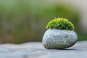 Serene Moss Flourishes Atop a Smooth Gray Stone, Resting Gently on a Flat Surface, Creating a Tranquil Scene, Evoking Feelings of Peace and Mindfulness. Nature's Simple Beauty, Zen Garden Inspiration. photo