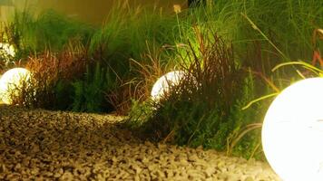 Illuminated Garden Pathway with Glowing Orbs video