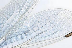 Dragonfly Wings Intricate Vein Patterns of a Delicate Insect Wing, Close-up Macro Photography Revealing Nature's Geometric Beauty in Stunning Detail, A Study in Natural Design and Biological Wonders. photo