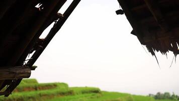 Scenic View from a Thatched Roof Overlooking Green Fields video