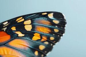 Exploring the Intricate Details of a Butterfly Wing A Close-Up Macro View Reveals Stunning Colors and Patterns, Showcasing Nature's Artistic Mastery in Exquisite Detail, with Breathtaking Visuals. photo