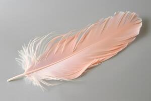 Discover the Delicate Beauty Exploring the Intricate Details of a Single, Pale Pink Feather Against a Neutral Background, Showcasing its Soft Texture and Graceful Form. A Study in Natural Elegance. photo