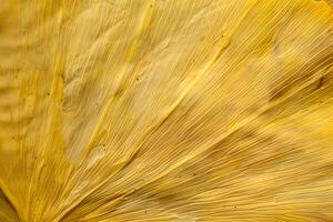 Golden Leaf Texture Close-Up View of a Dried Leaf's Veins and Patterns, Showing Natural Hues and Organic Shapes, with Abstract Art Inspiration, Ideal for Backgrounds and Design Projects. photo