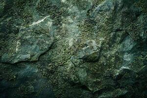 Exploring the Intricate Textures of Moss-Covered Rocks A Detailed Look at Natural Stone Formations, Showing Diverse Green Hues and Patterns in a Mysterious and Enchanting Forest Setting. photo