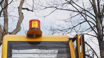 School bus warning light activates while parked near trees video
