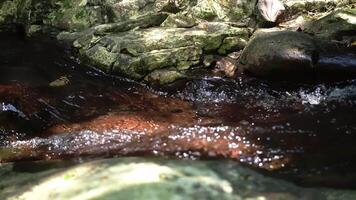 A serene stream flowing over rocks in a natural setting, with sunlight glistening on the water surface. video