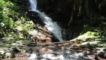 A serene waterfall cascading over rocky terrain surrounded by lush green foliage. The sunlight filters through the trees, creating a tranquil atmosphere. video