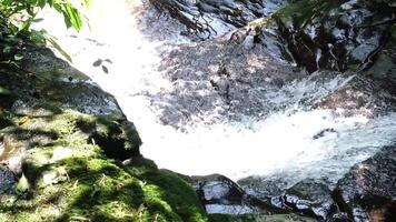 A serene waterfall cascading over rocky terrain, surrounded by lush greenery. The sunlight filters through the leaves, creating a tranquil atmosphere. video
