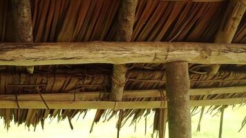 Rustic Thatched Roof Structure video