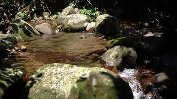 A serene stream flowing over smooth stones, surrounded by lush greenery. The water is clear, reflecting the sunlight, creating a peaceful natural scene. video