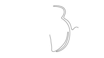 Self drawing animation single line underwater female swimmer in swimsuit getting ready to swim in swimming pool. Good preparation helping achieve better results. Continuous line. Full length animated video