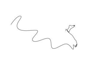 Animated self drawing of continuous line draw professional male swimmer practice front crawl, freestyle technique in swimming pool. Athlete training for tournament. Full length single line animation video