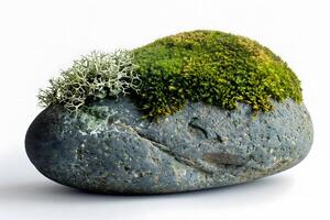Exploring the Beauty of Moss and Lichen Growing on a Smooth Grey Stone A Detailed View of Nature's Tiny Wonders in Vivid Close-Up. Detailed Examination of Rock Texture and Plant Life. photo