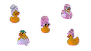 A set of rubber ducks enjoying a spa day, featuring scenes with towels, shower caps, bubbles, and calm expressions. Alpha channel transparency video