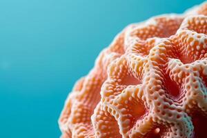 Exploring Intricate Coral Reef Structures Unveiling the Beauty and Complexity of Submerged Ecosystems with Microscopic Detail, Showcasing Vibrant Hues and Organic Forms in Underwater Worlds. photo