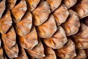 Magnificent Conifer Cone Intricate Scale Patterns and Textures Revealed in Close-Up Photography, Showcasing Nature's Detailed Beauty with Stunning Visuals. photo