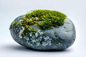 Moss and Stone A Serene Still Life of Nature's Harmony, Showcasing the Beauty of Tiny Plants Growing on a Smooth Grey Rock, Capturing the Essence of Tranquility and Natural Growth in a Close-Up Shot. photo
