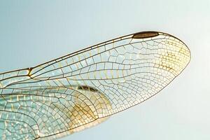 Dragonfly Wing's Intricate Vein Network A Close-Up Look at Nature's Delicate Design, Revealing the Marvelous Structure with Exquisite Detail Against a Soft Blue Sky Background. photo