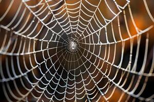 Dew-Covered Spiderweb Nature's Intricate Design, a Stunning Display of Geometry in the Early Morning Light, Showcasing the Artistry of Arachnids, a Mesmerizing Natural Wonder. photo