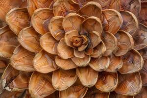 Detailed Wooden Flower Petals Showcase Intricate Textures and Patterns with a Close-Up View, Revealing Natural Beauty in Exquisite Detail. A Stunning Macro Photography Exhibit. photo