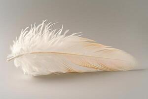 Close-up View of a Delicate, Soft, White Feather with Pale Orange Hues, Showing Intricate Details and Texture, Illustrating Natural Beauty and Fragility. A Symbol of Serenity, Peace, and Lightness. photo