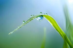 Nature's Masterpiece Dewdrops Adorn Vibrant Green Blade, Reflecting Sky's Serenity in a Breathtaking Macro Shot of Early Morning Beauty, Showcasing the Wonders of Nature's Microscopic World. photo