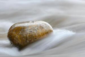Smooth River Stone Moves Gently Downstream in a Serene Flow of Water, Capturing the Essence of Tranquility and Natural Beauty with a Focus on Water Texture and Stone Color. photo