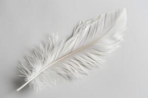 A Single White Feather, Softly Resting on a Neutral Background A Study in Texture and Light, Evoking Serenity and Peace, Ideal for Design Inspiration and Artistic Exploration. photo