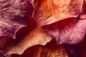 Exploring the Intricate Veins of a Flower Petal A Close-Up Macro Photography Study Revealing Nature's Delicate Beauty with Vibrant Hues and Textured Details, Showcasing Artistic Botanical Imagery photo