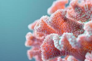 Exploring the Intricate Beauty of Coral A Close-Up Look at the Delicate Structures and Vibrant Colors of Coral Reefs, Revealing the Wonders of Marine Ecosystems with Stunning Visuals. photo