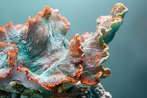 Ocean's Delicate Dance Vibrant Coral Reefs Showcase Exquisite Underwater Flora with Intricate Textures and Hues, Displaying Nature's Artistic Mastery in a Mesmerizing Aquatic Ballet. photo