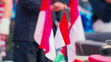 Close-up of Indonesian Flags in a Festive Setting video