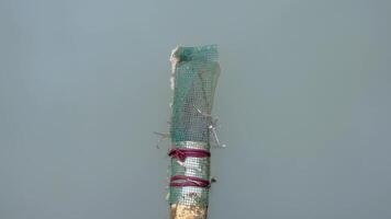 Textured Object Wrapped in Mesh video