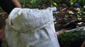 Close-Up of a Burlap Sack in Nature video
