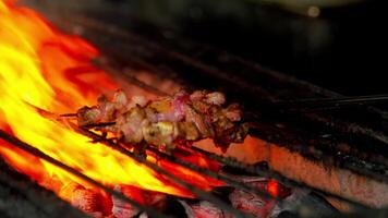 Grilled Meat Skewers Over Open Flame video