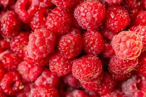Close up view of numerous fresh, ripe raspberries creating a vibrant and textured background, emphasizing the concept of healthy eating and natural food choices photo