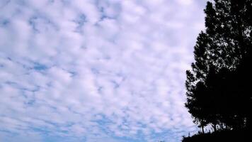A serene sky filled with soft, fluffy clouds against a blue backdrop, with silhouettes of trees at the bottom edge. video