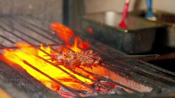 Meat Skewers Grilling Over Open Flames video