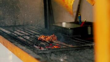 Grilling Skewered Meat Over Charcoal video