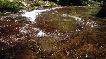 Serene Stream Flowing Over Rocks in Nature video