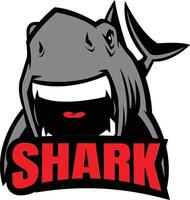 shark graphic emblem vector