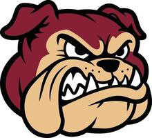 a bulldog head with an angry expression vector
