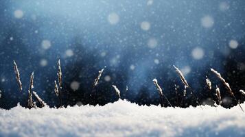Winter background with snow and grass photo