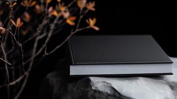 A black book sitting on top of a rock photo